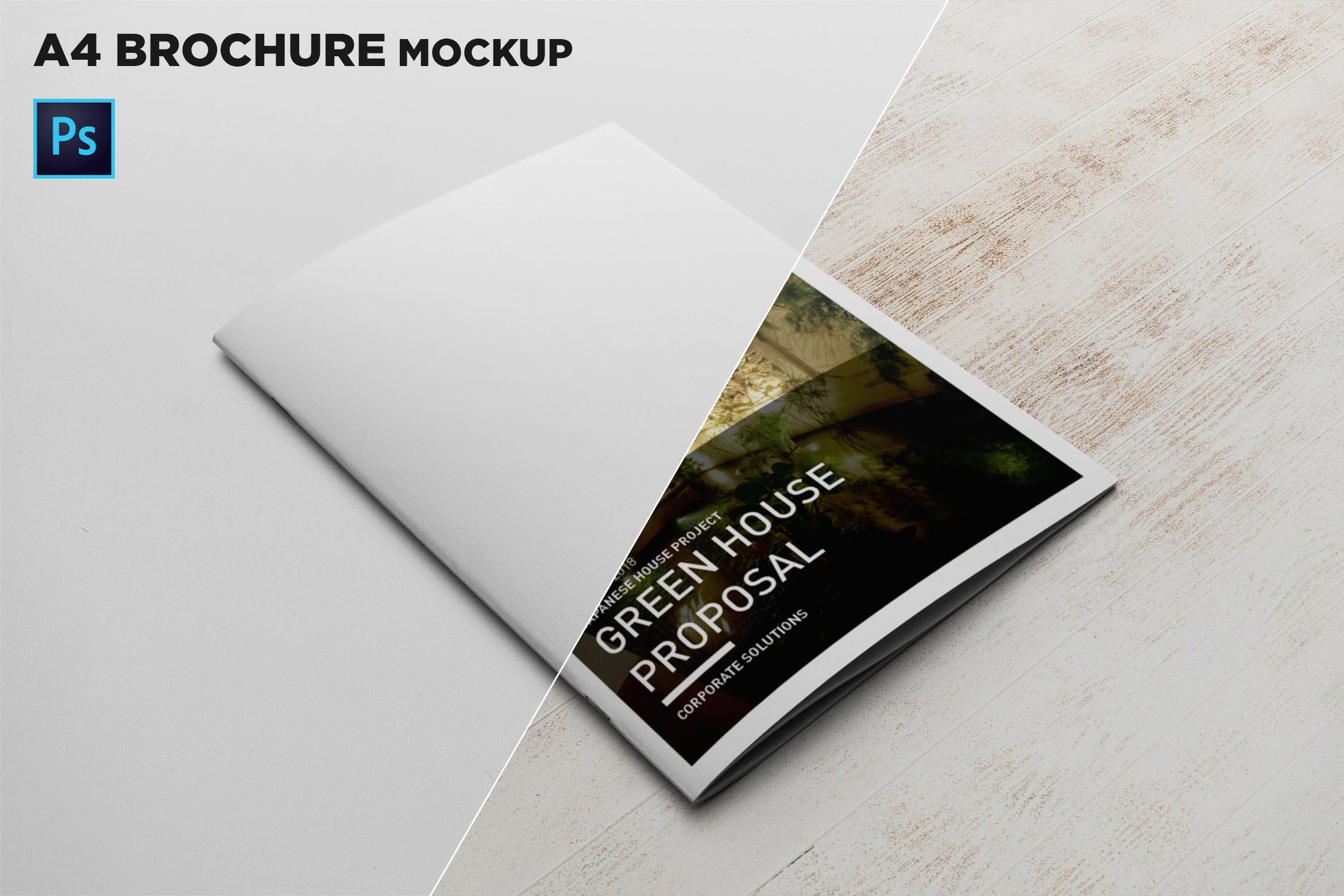 A4宣传小册子/企业画册封面设计45度角视图样机大洋岛精选 A4 Brochure Cover Mockup插图