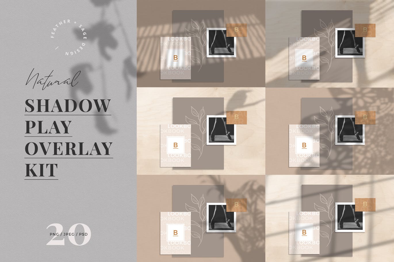 自然植物阴影高清蚂蚁素材精选背景设计素材包 Natural Shadow Play Overlay Kit插图