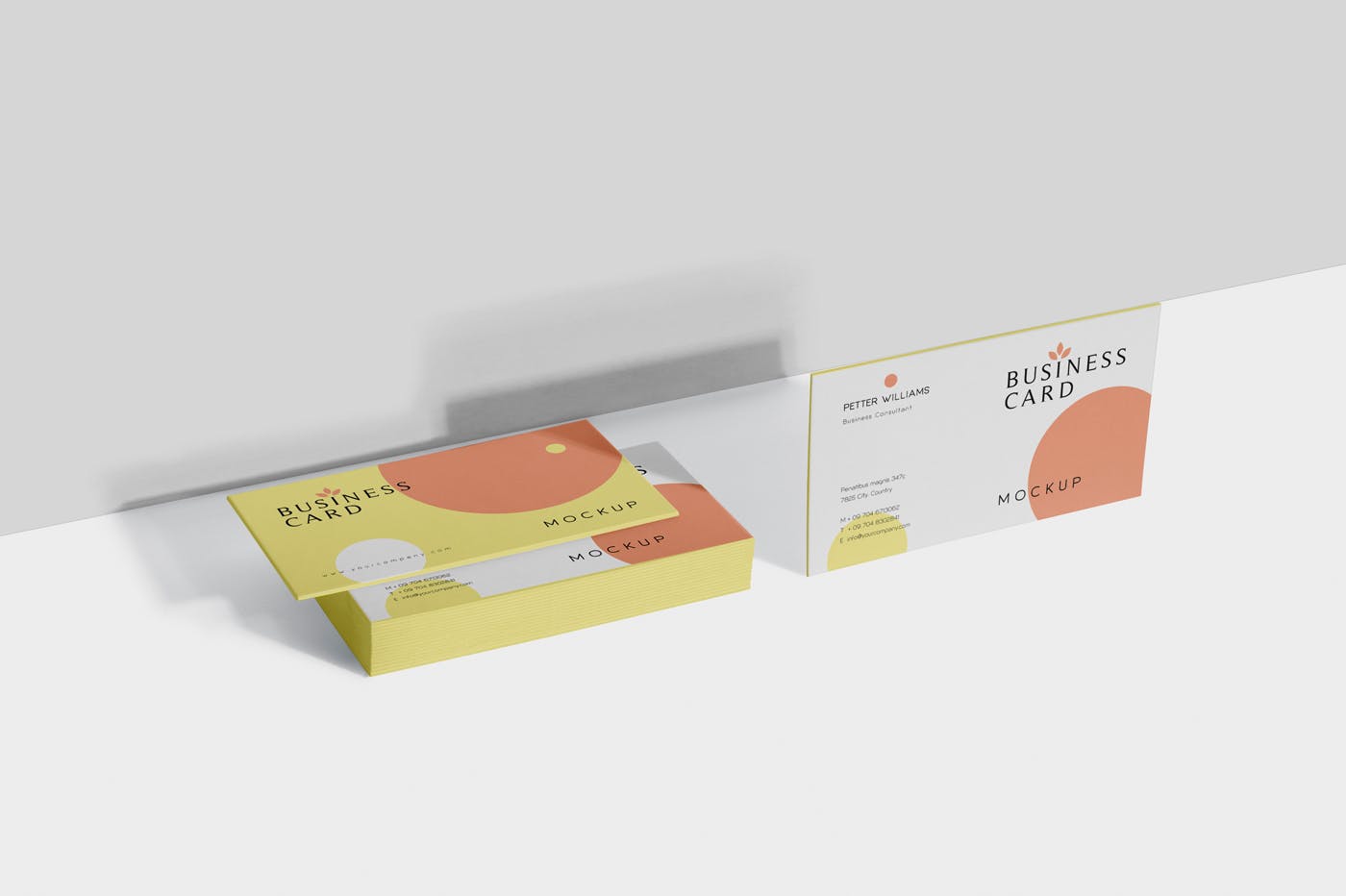 创意企业名片设计阴影效果图第一素材精选 Business Card Mock-Ups插图(4)