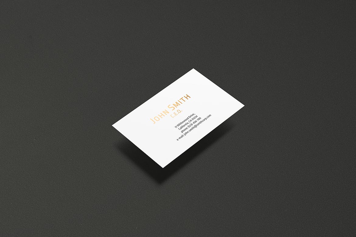 高端企业名片设计效果图蚂蚁素材精选套装 8.5×5.5cm Landscape Business Card Mockup插图(12)