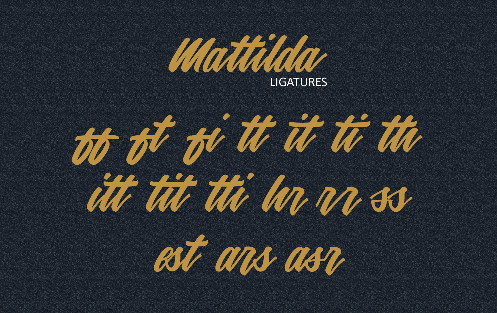 英文画笔连笔艺术字体大洋岛精选 Mattilda Script Font插图3
