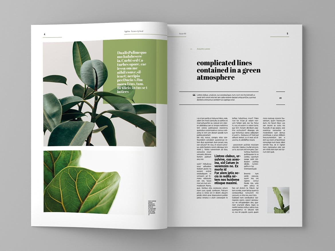 企业业务介绍蚂蚁素材精选杂志排版设计模板 Agrica – Magazine Template插图(3)