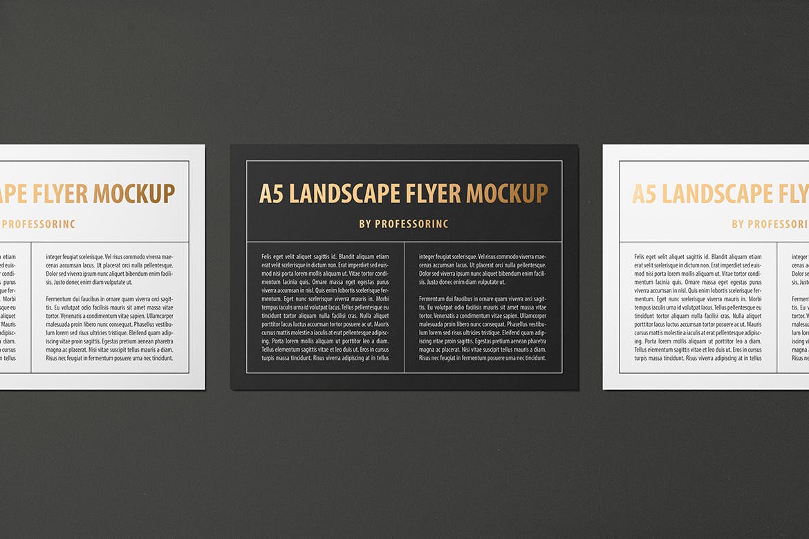 A5尺寸大小烫金设计风格宣传单效果图样机大洋岛精选模板 A5 Landscape Flyer Mockup — Foil Stamping Edition插图6