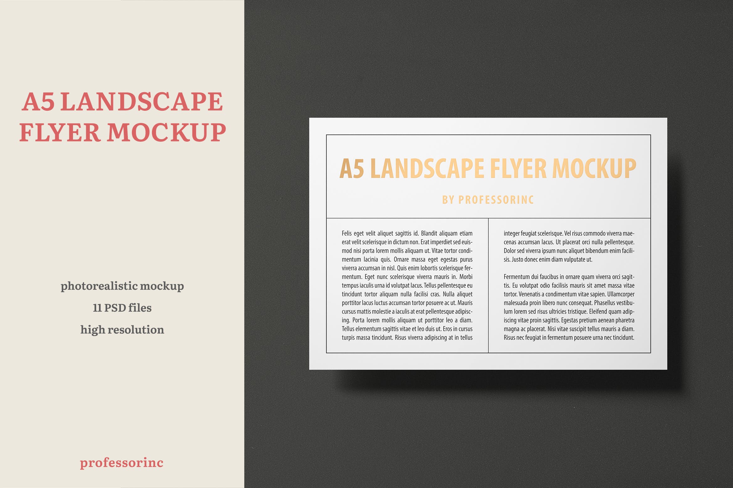 A5尺寸大小烫金设计风格宣传单效果图样机大洋岛精选模板 A5 Landscape Flyer Mockup — Foil Stamping Edition插图