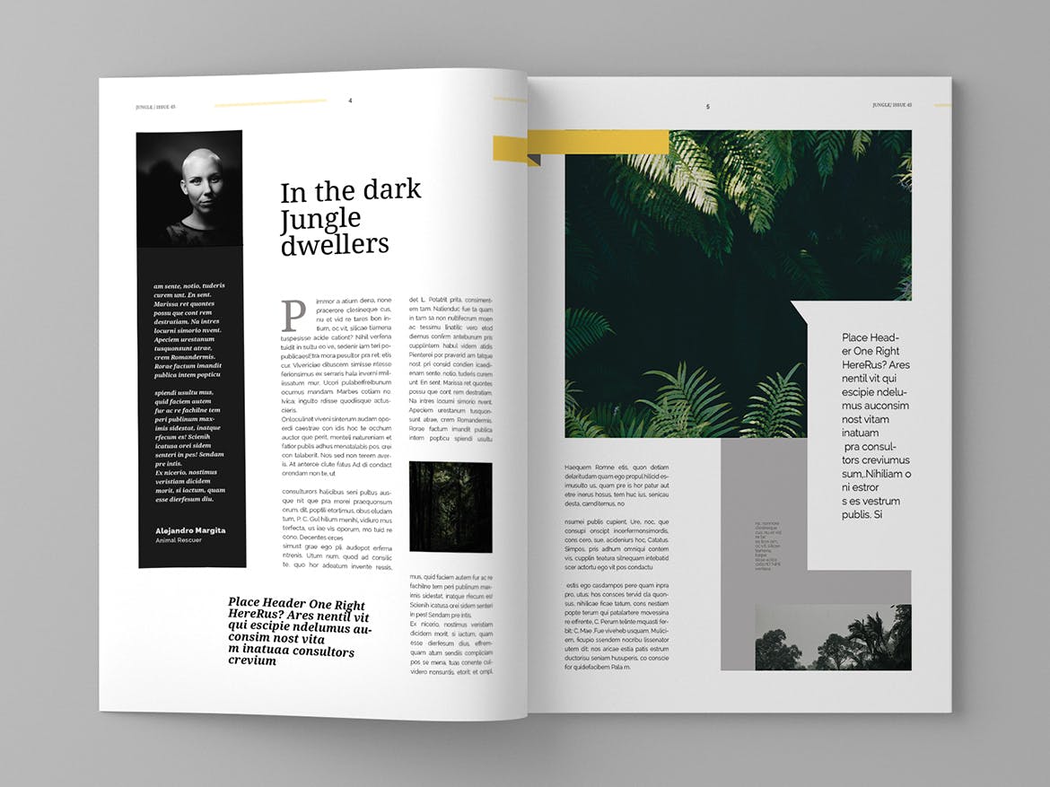 旅游行业蚂蚁素材精选杂志版式设计模板 Jungle – Magazine Template插图(3)