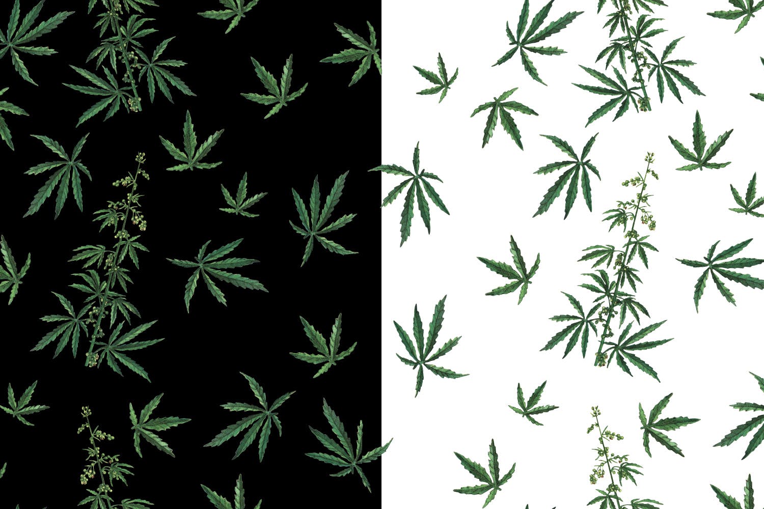 大麻叶子高清图案背景蚂蚁素材精选 Cannabis Patterns插图(2)