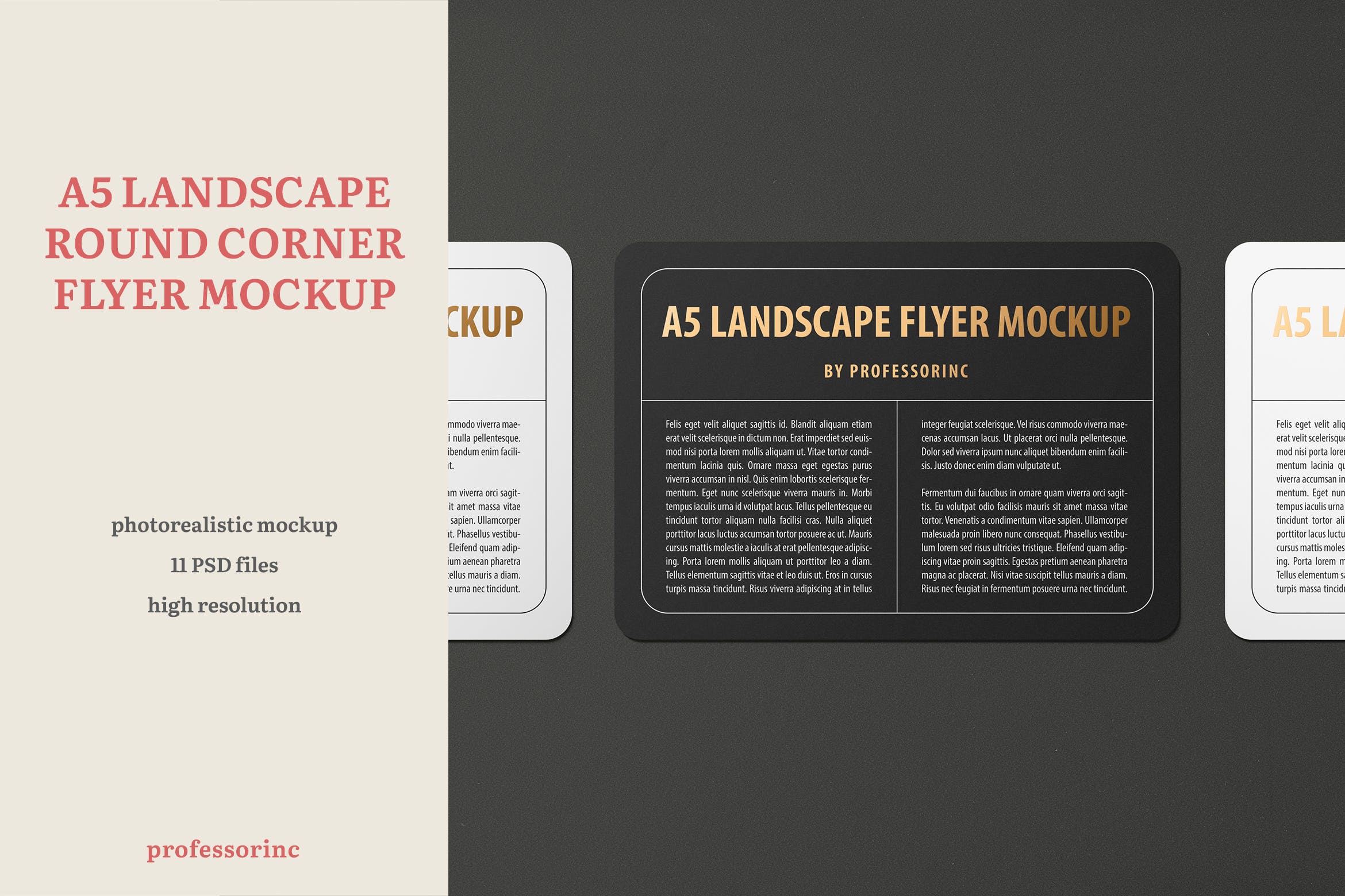 A5尺寸规格圆角宣传单印刷效果图样机蚂蚁素材精选 A5 Landscape Round Corner Flyer Mockup插图