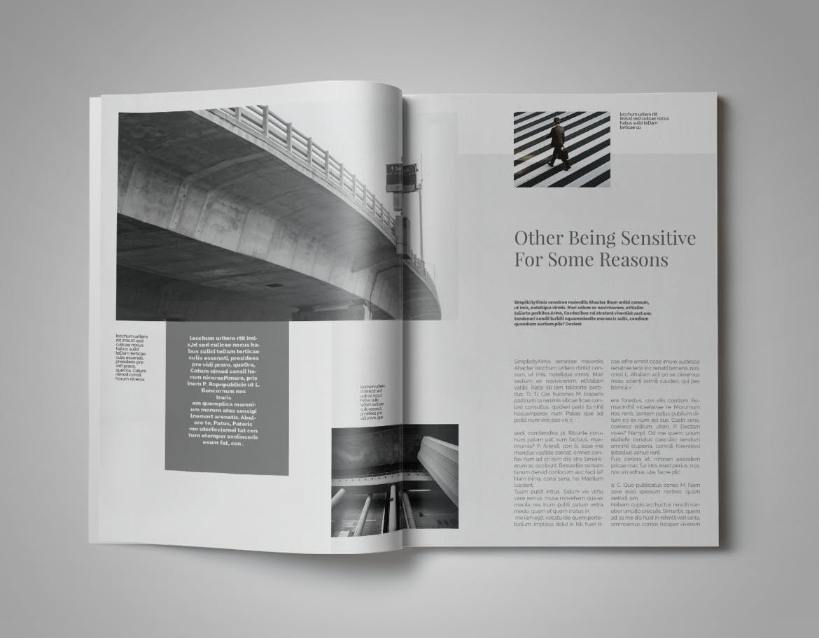 现代版式设计时尚蚂蚁素材精选杂志INDD模板 Simplifly | Indesign Magazine Template插图(8)