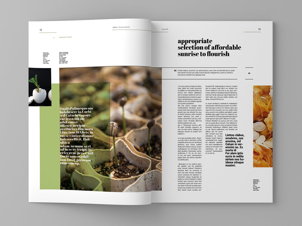 企业业务介绍蚂蚁素材精选杂志排版设计模板 Agrica – Magazine Template插图(7)