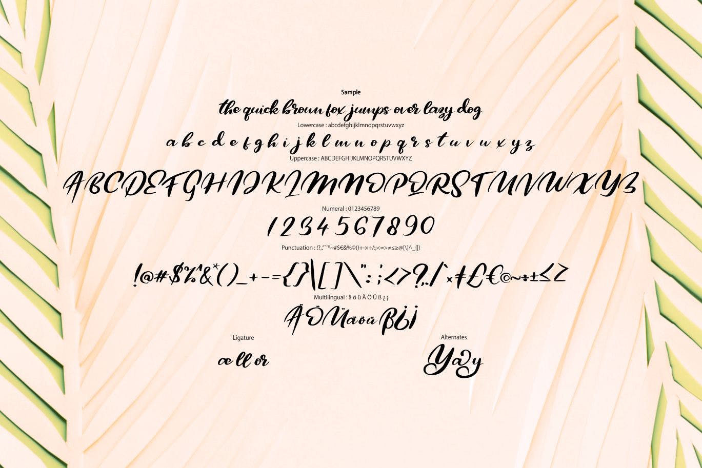 极简主义排版设计风格英文书法字体第一素材精选 Qors | Minimalism Script Font插图(5)