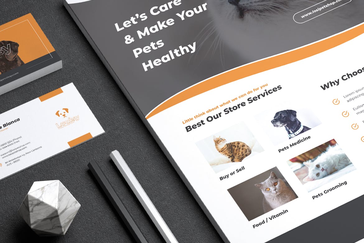 宠物店业务传单&第一素材精选名片模板 LOSI Pet Shop Business Flyer & Business Card插图(5)