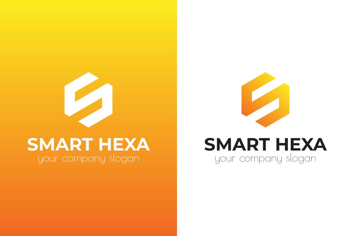 S字母图形Logo设计第一素材精选模板 Smart Hexa Awesome Logo Template插图(1)