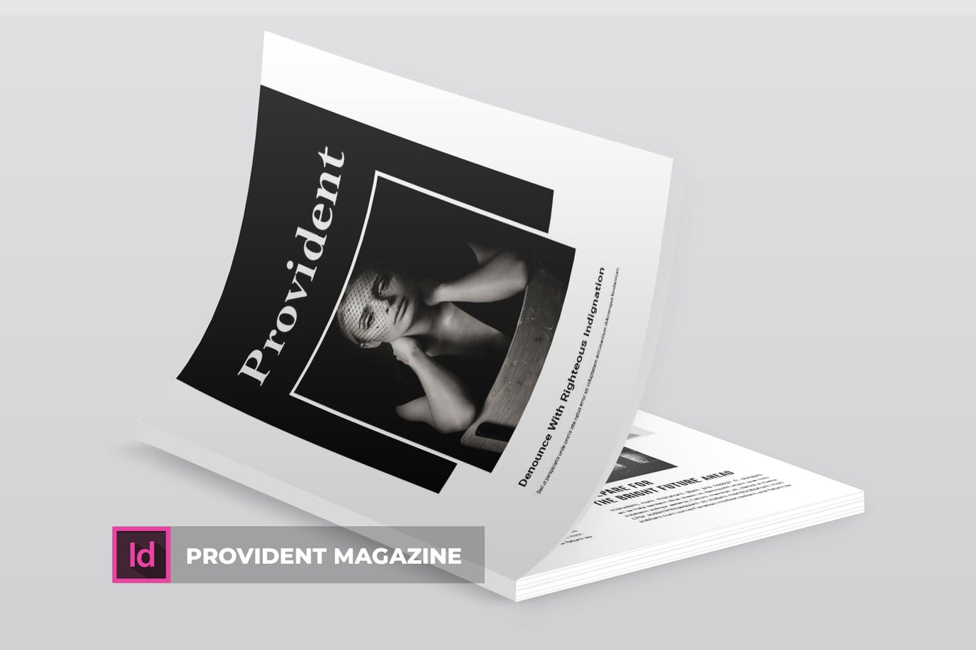高端摄影主题A4第一素材精选杂志版式设计INDD模板 Provident | Magazine Template插图