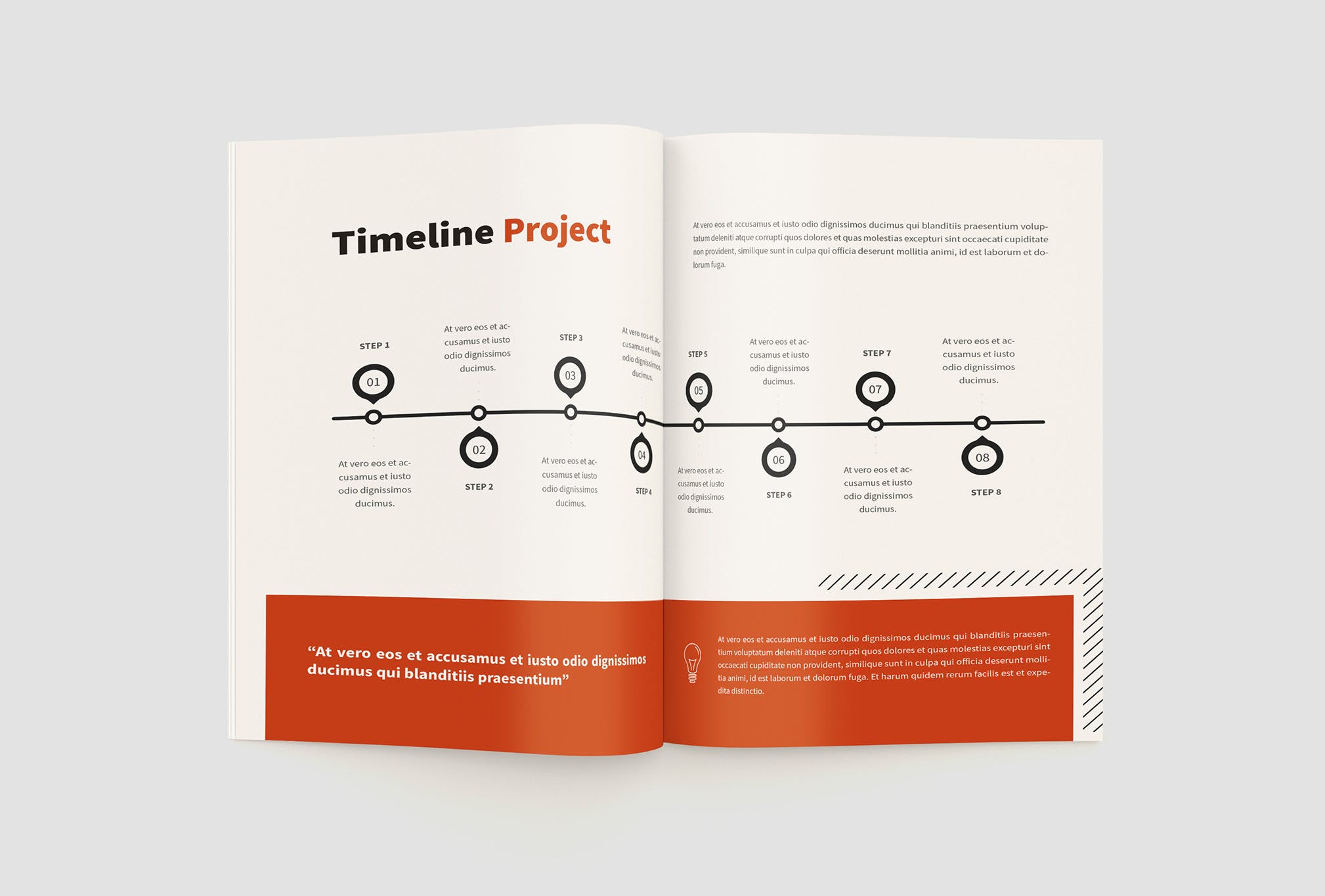 项目商业计划书/项目提案设计模板 The Project Company Profile插图8