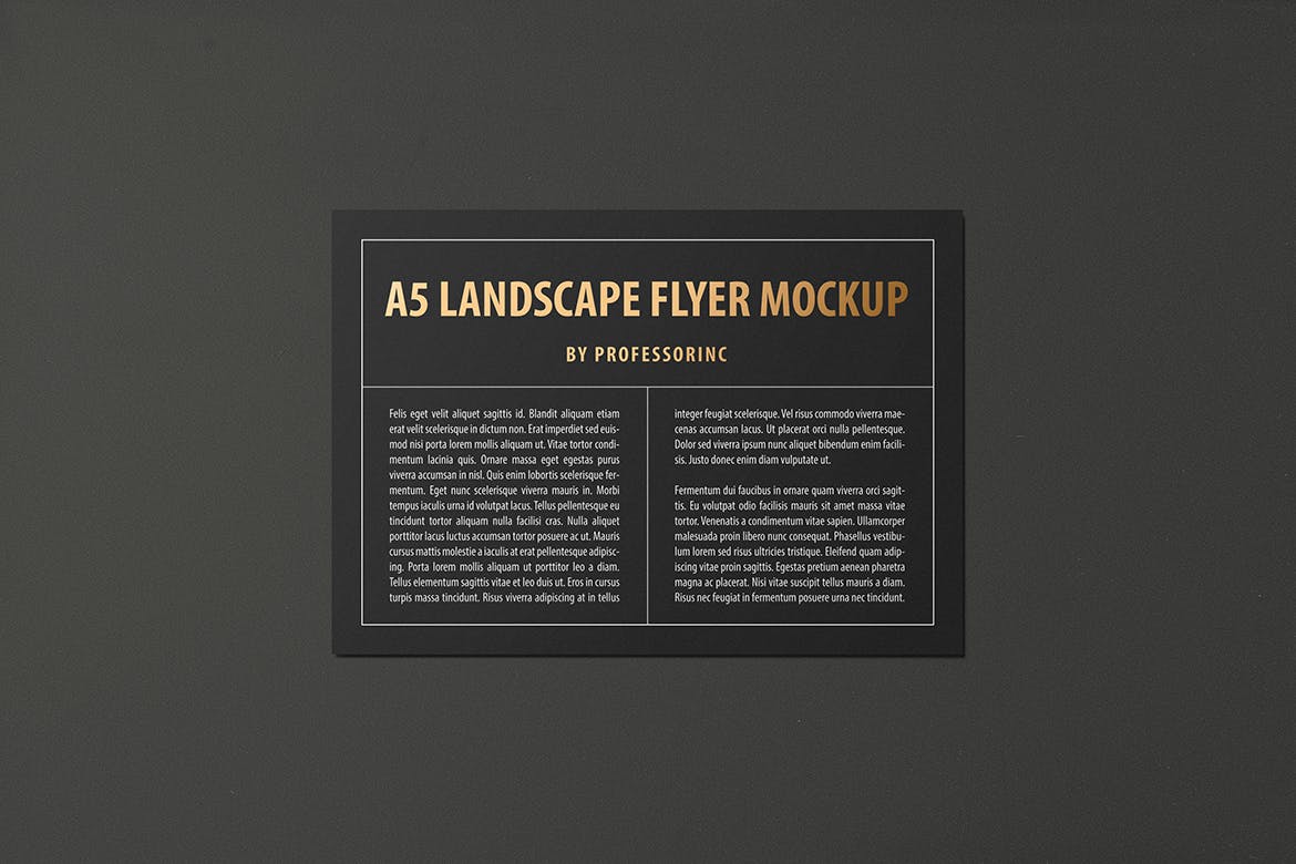 A5尺寸大小烫金设计风格宣传单效果图样机大洋岛精选模板 A5 Landscape Flyer Mockup — Foil Stamping Edition插图1