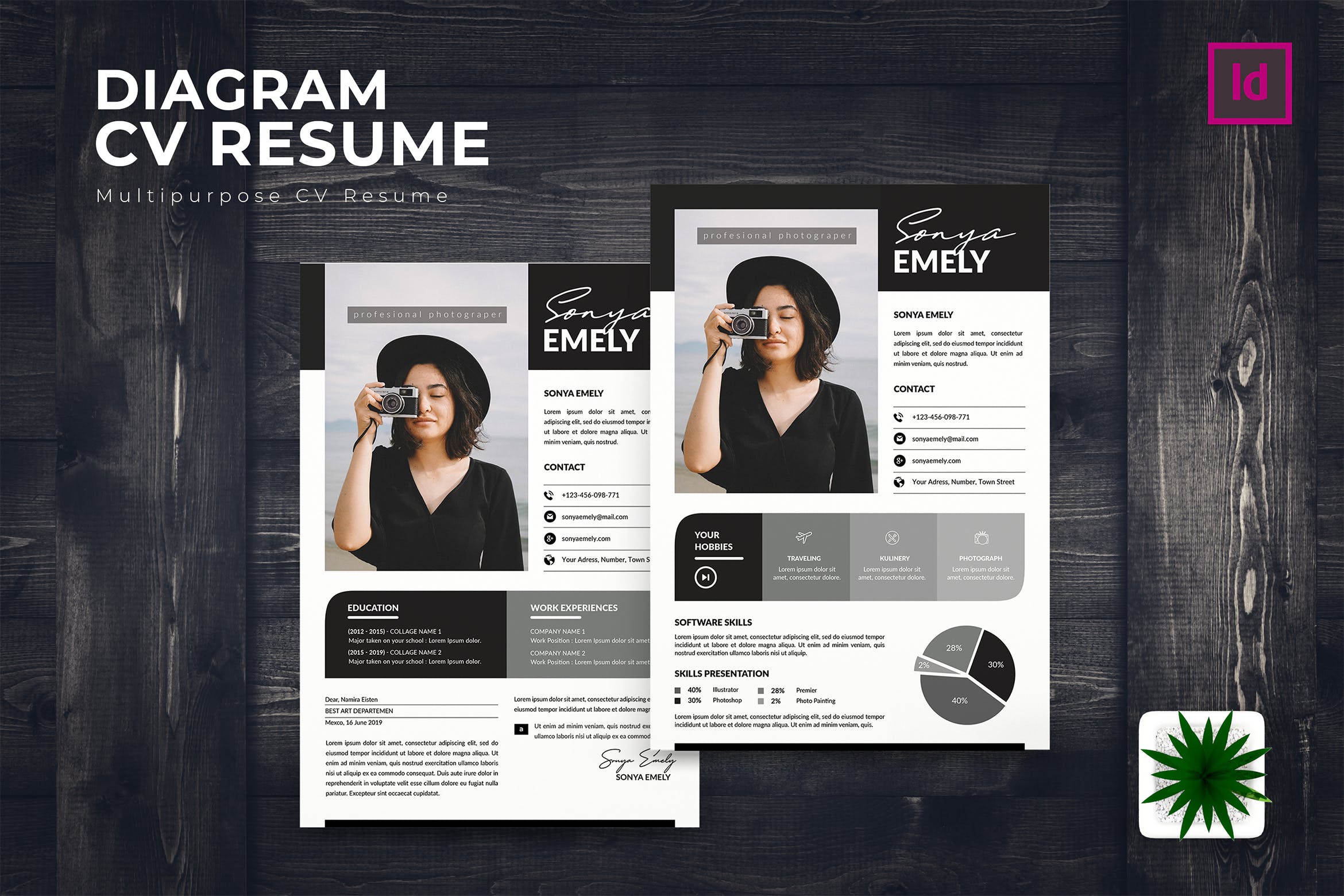 多用途个性设计电子简历&推荐信模板 Diagram CV Resume插图