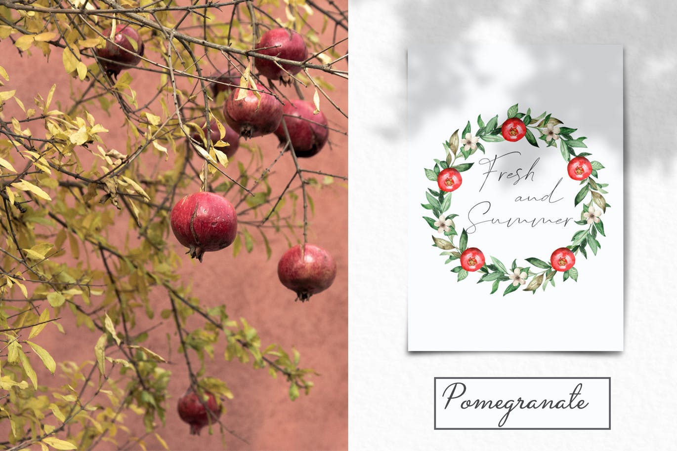 水彩石榴剪贴画/花框/花环第一素材精选设计素材 Watercolor pomegranate. Clipart, frames, wreaths插图(10)