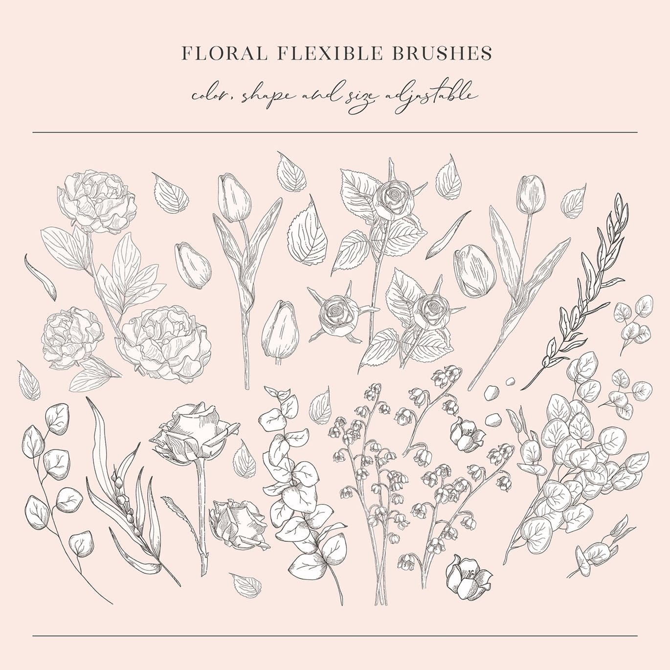 AI插画设计师必备花卉柔性笔刷第一素材精选 Floral Flexible Illustrator Brushes插图(1)