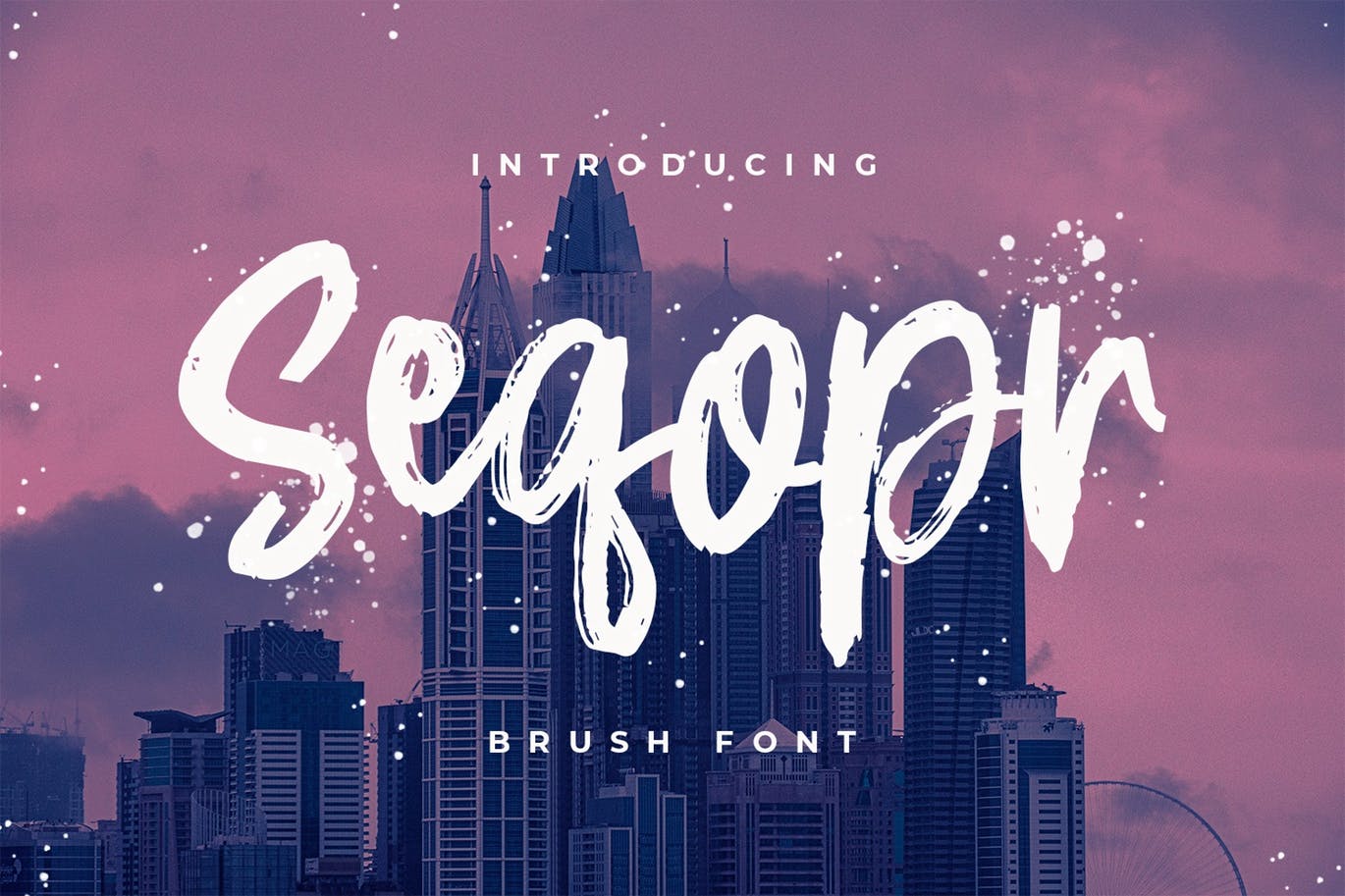 Logo/印刷设计英文笔刷字体蚂蚁素材精选 Seqopr – The Brush Font插图