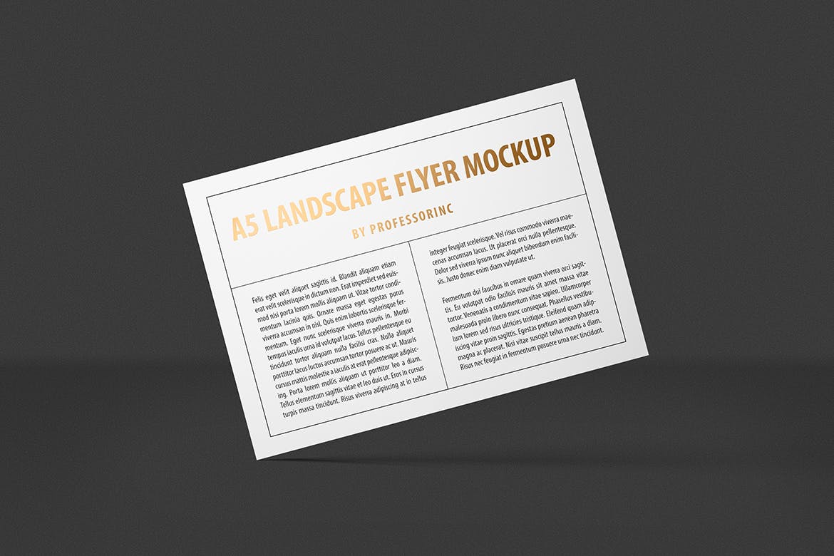 A5尺寸大小烫金设计风格宣传单效果图样机蚂蚁素材精选模板 A5 Landscape Flyer Mockup — Foil Stamping Edition插图(7)