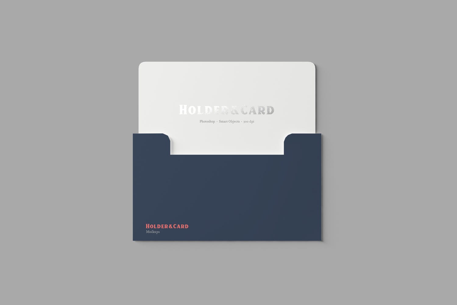 卡片&卡套设计效果图第一素材精选 Holder and Card Mockups插图(4)