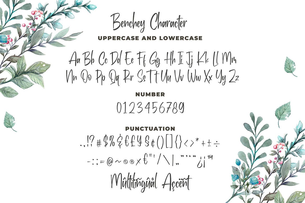 现代书法风格英文手写字体蚂蚁素材精选 Benchey – Handwritten Font插图(3)