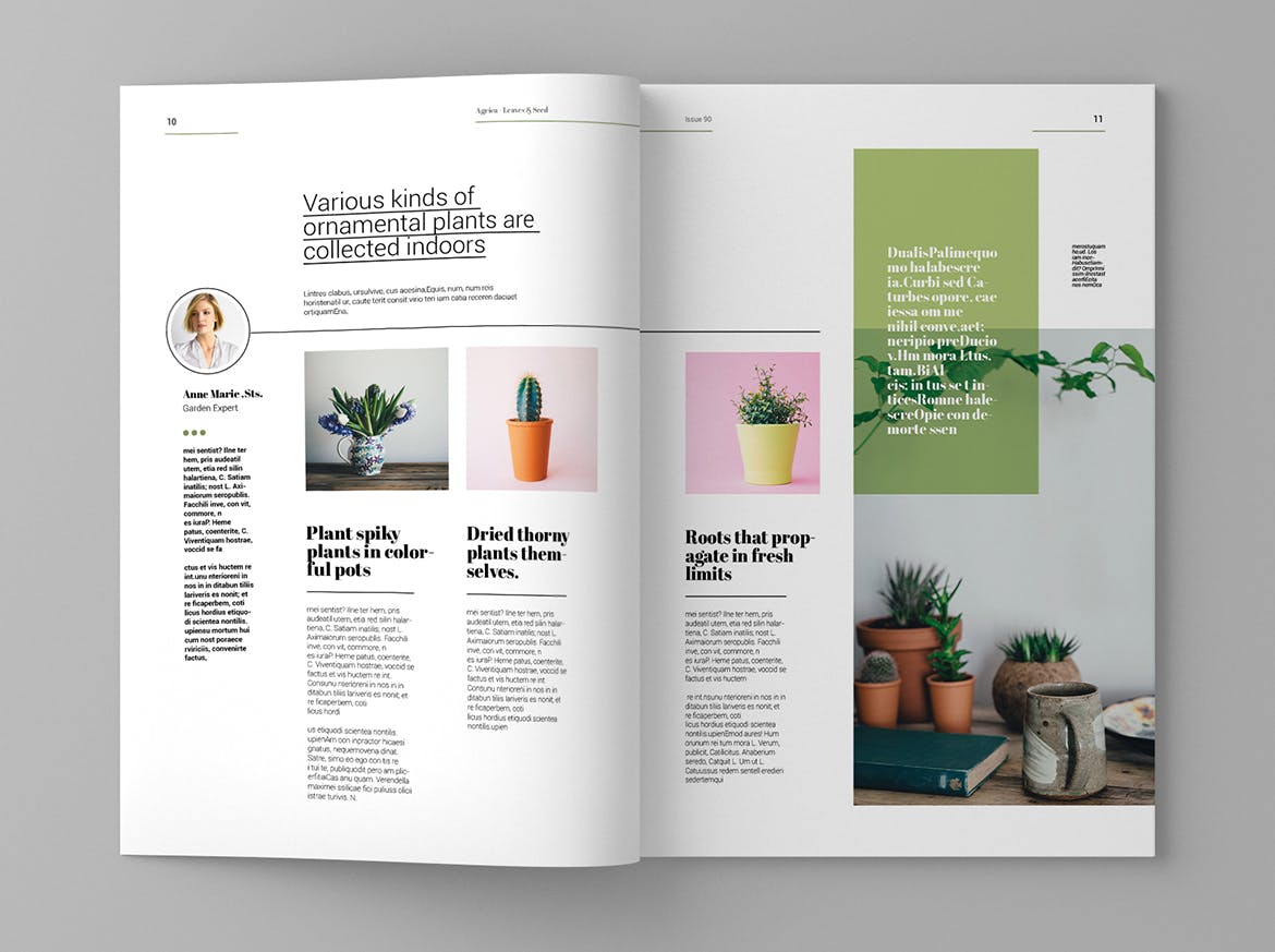企业业务介绍蚂蚁素材精选杂志排版设计模板 Agrica – Magazine Template插图(6)