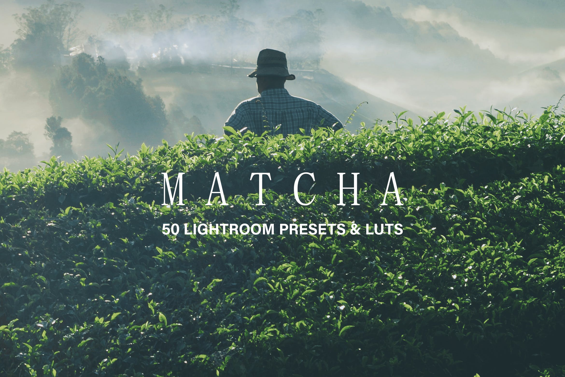 50款绿色背景摄影后期调色处理大洋岛精选LR预设 50 Matcha Lightroom Presets and LUTs插图
