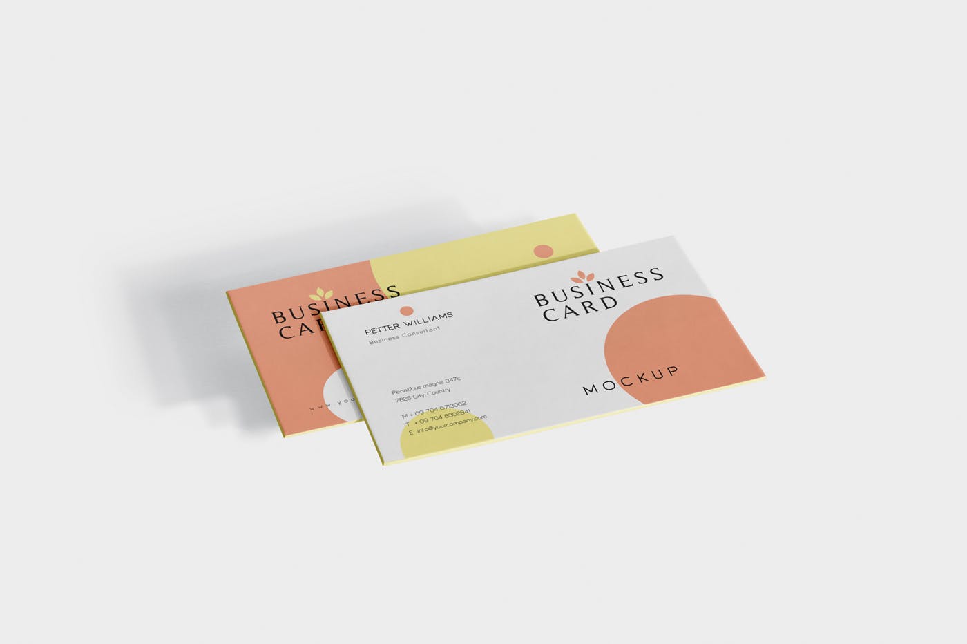创意企业名片设计阴影效果图蚂蚁素材精选 Business Card Mock-Ups插图(3)