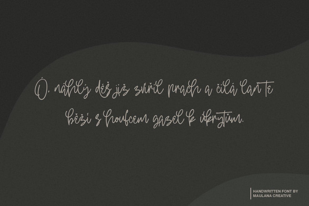 钢笔签名风格英文手写字体蚂蚁素材精选 Oterdin – Handwritten Font插图(7)