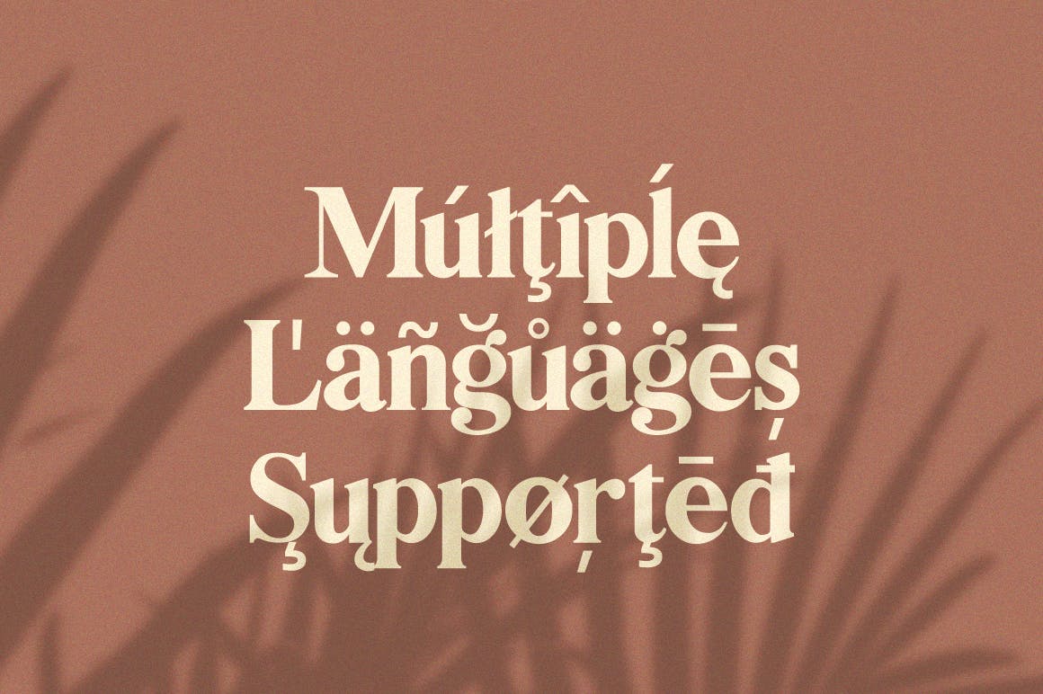 创意英文衬线字体大洋岛精选二重奏 Bilingual Serif Font Duo插图10