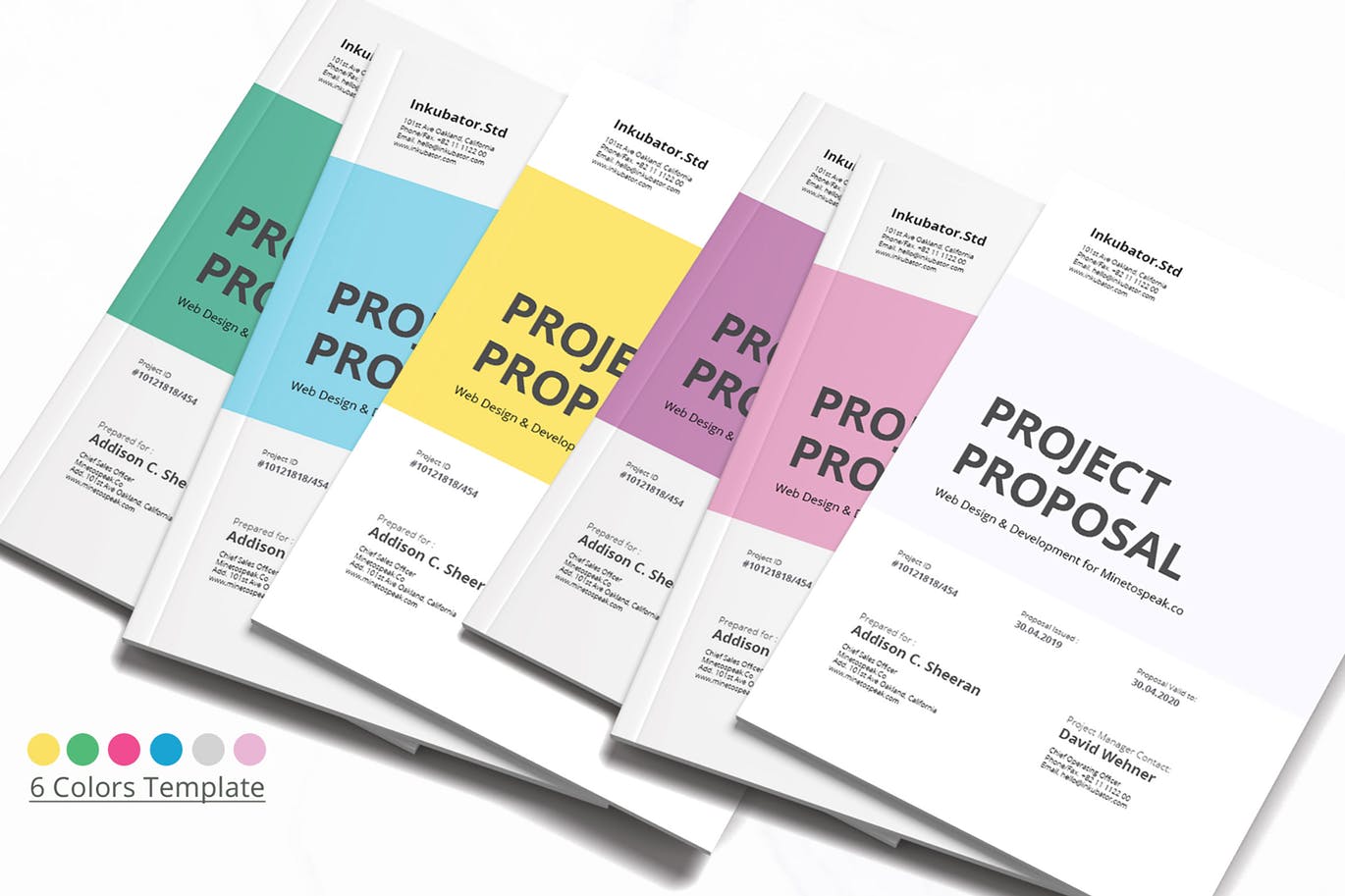 项目规划方案/项目投标书设计模板 Proposal Brochure 6 Colors插图