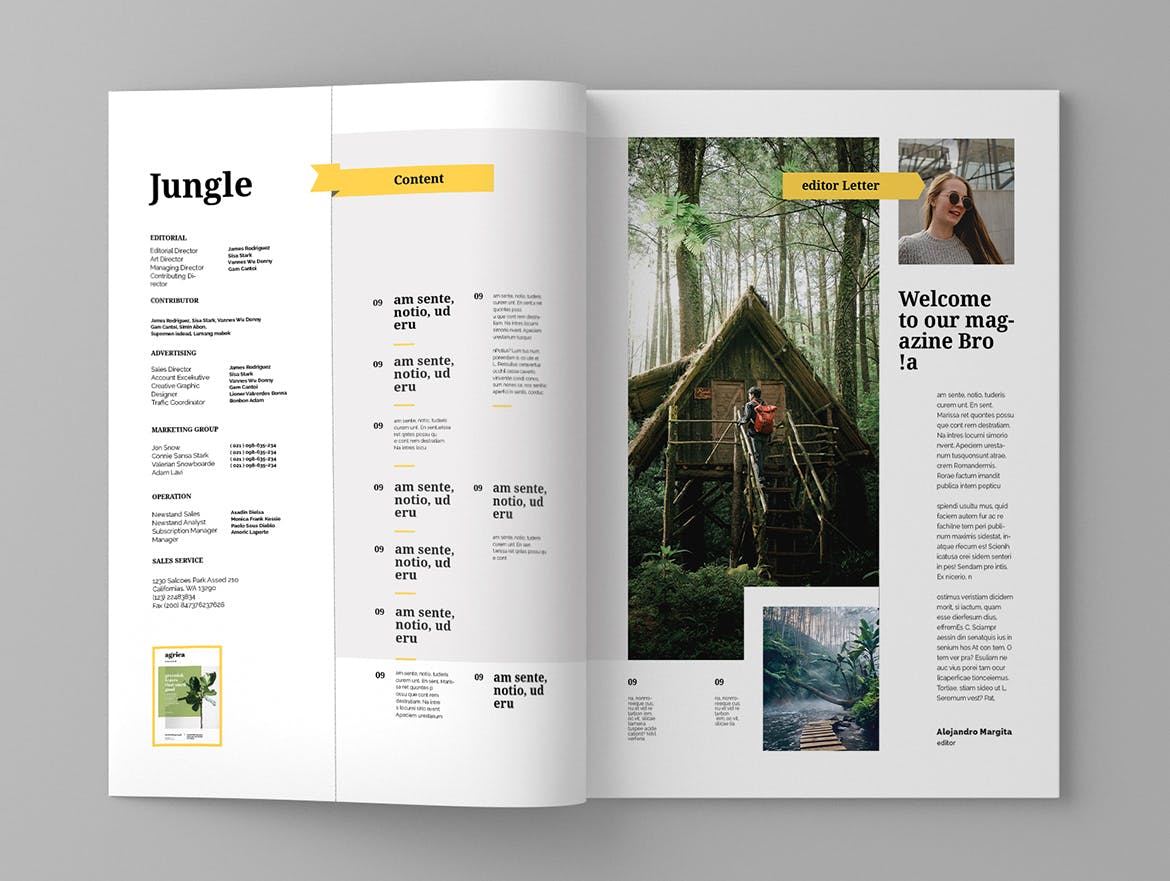 旅游行业大洋岛精选杂志版式设计模板 Jungle – Magazine Template插图2