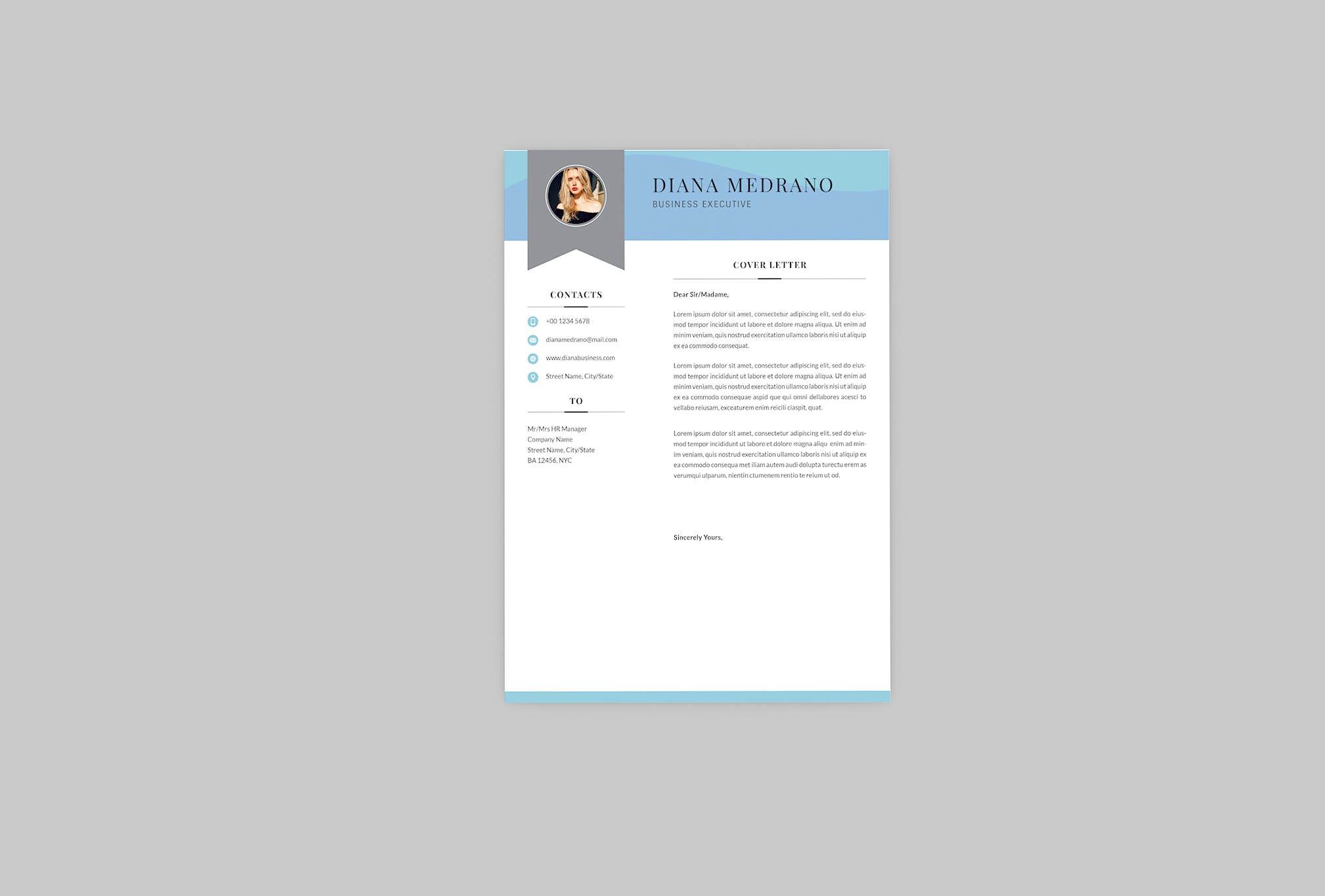 3合1企业主管电子第一素材精选简历模板 Diana Business Resume Designer插图(1)