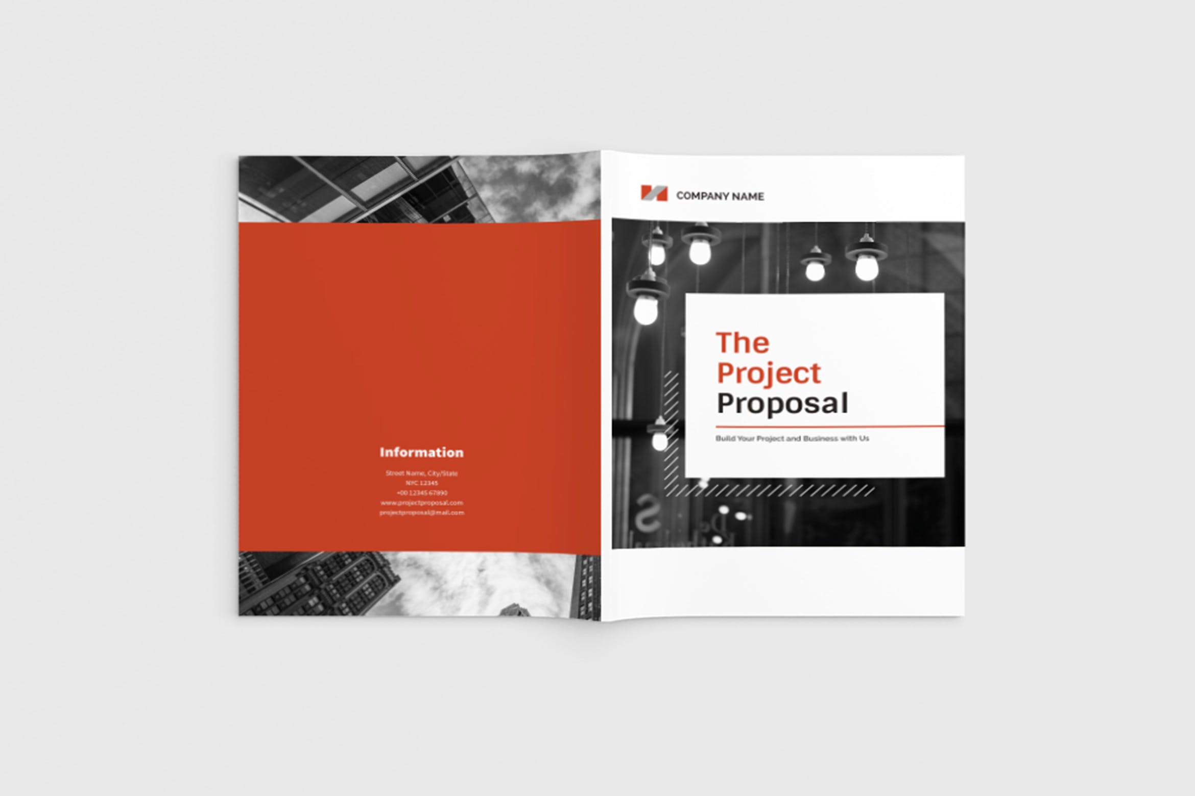 项目商业计划书/项目提案设计模板 The Project Company Profile插图