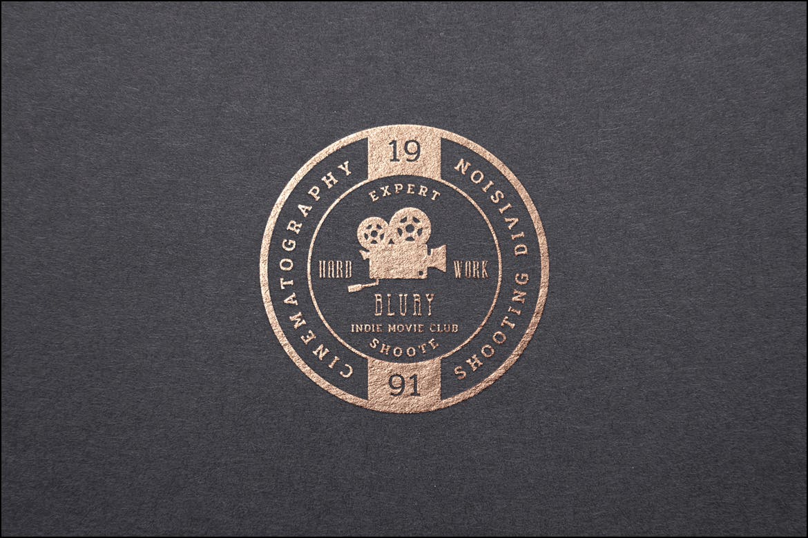 欧美复古设计风格品牌大洋岛精选LOGO商标模板v18 Vintage Logo & Badge Vol. 18插图2