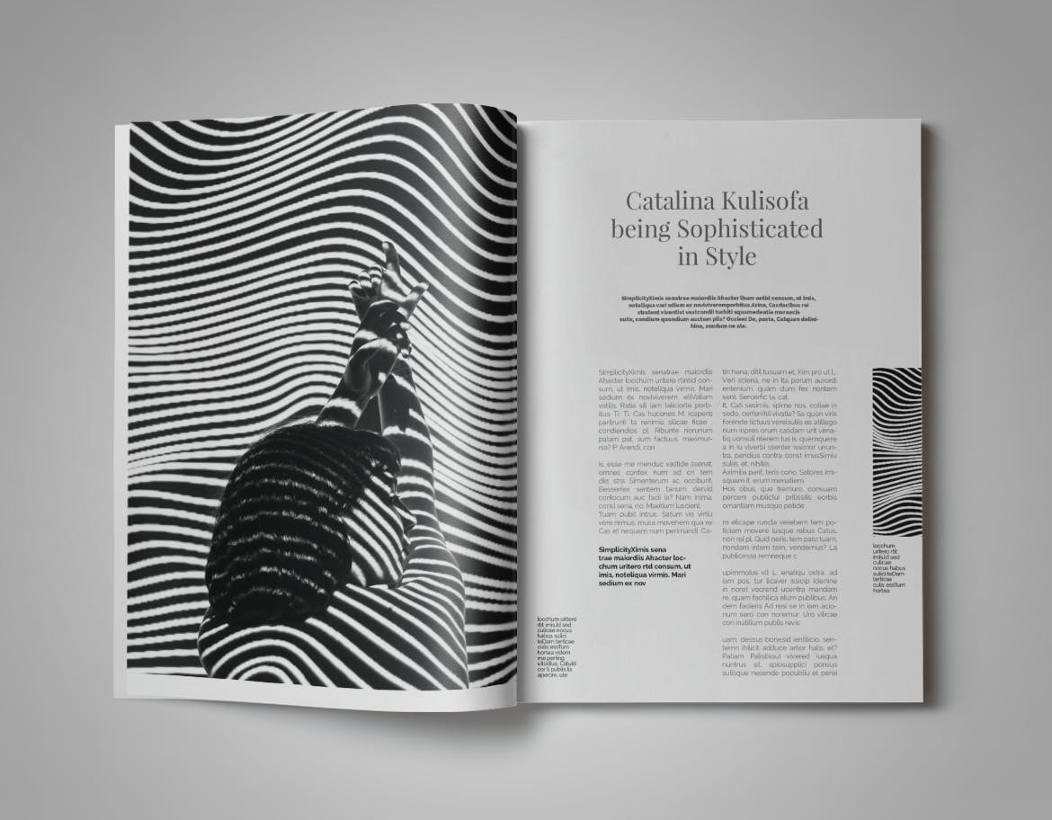 现代版式设计时尚蚂蚁素材精选杂志INDD模板 Simplifly | Indesign Magazine Template插图(12)