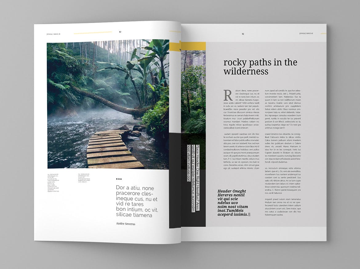 旅游行业大洋岛精选杂志版式设计模板 Jungle – Magazine Template插图7