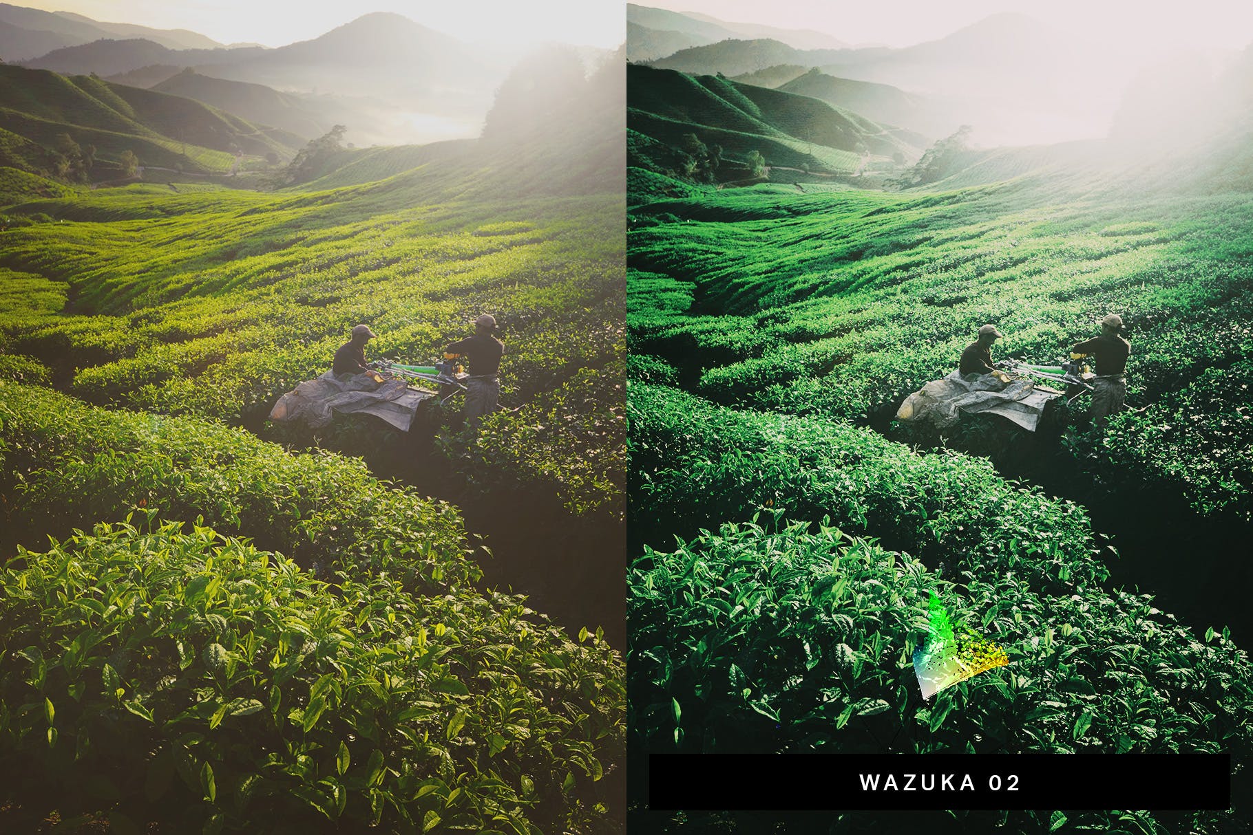 50款绿色背景摄影后期调色处理大洋岛精选LR预设 50 Matcha Lightroom Presets and LUTs插图4