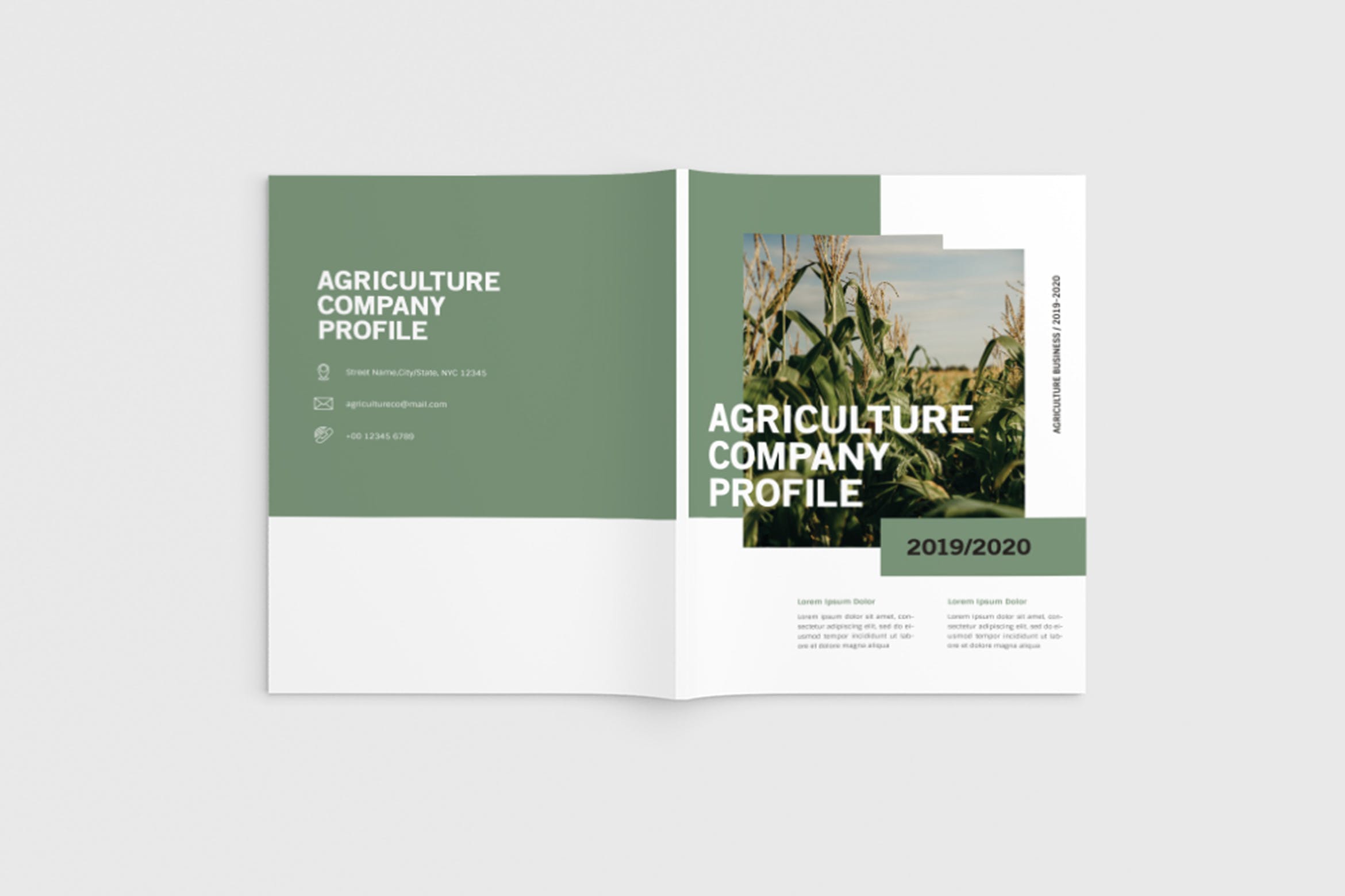 农业绿色食品公司简介企业画册设计模板 Agriculture Company Profile插图