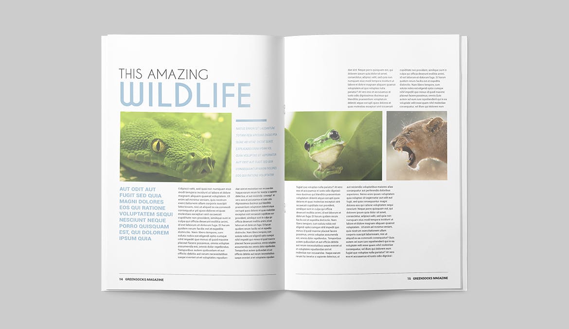 农业/自然/科学主题第一素材精选杂志排版设计模板 Magazine Template插图(7)