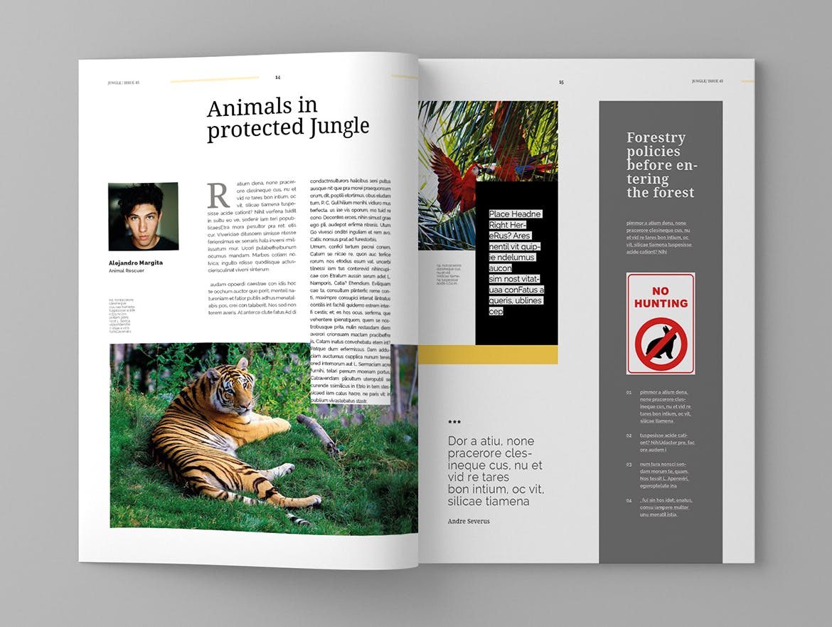 旅游行业大洋岛精选杂志版式设计模板 Jungle – Magazine Template插图8