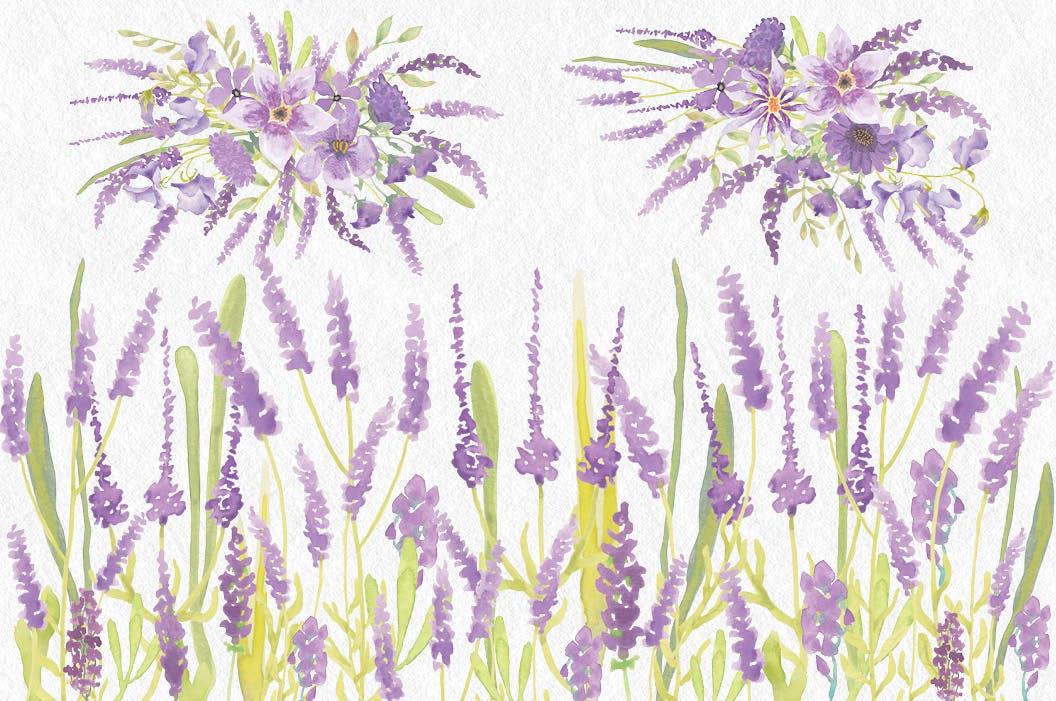 薰衣草绽放水彩剪贴画第一素材精选PNG素材 Lavender Blooms: Watercolor Clip Art Bundle插图(2)