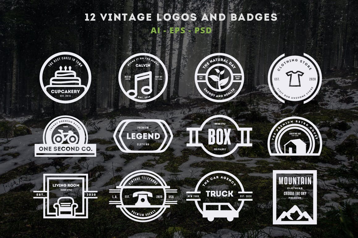 12款复古风格Logo&徽章设计模板v08 12 Vintage Logos & Badges 008插图3