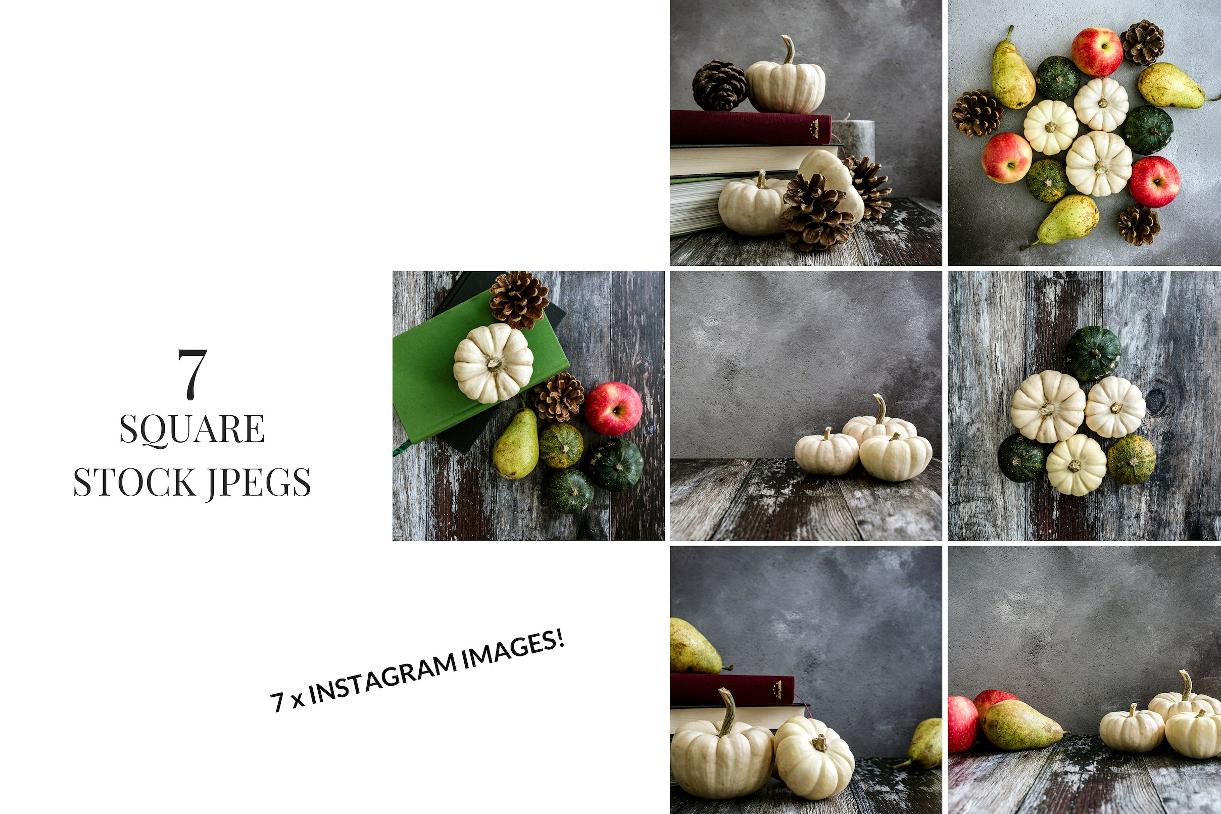 南瓜&梨子主题的社交媒体分享高清图片下载 Pumpkins & Pears [jpg]插图(4)