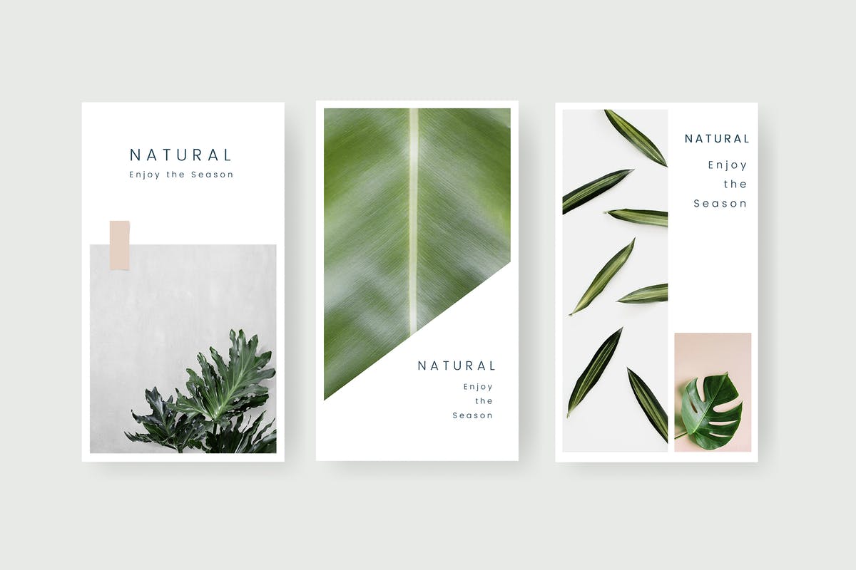大自然主题社交媒体新媒体品牌宣传设计模板第一素材精选 Natural social media template插图