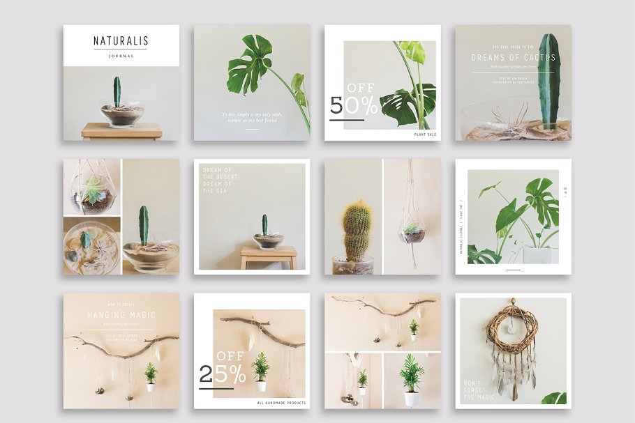 植物盆栽主题社交媒体贴图模板第一素材精选[Instagram版本] NATURALIS Instagram Pack插图(2)