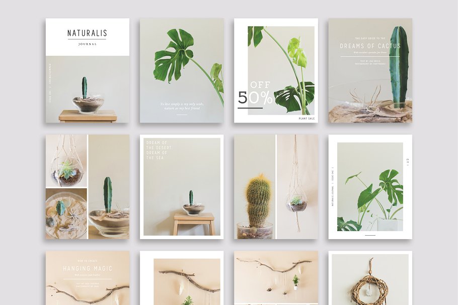 植物盆栽主题社交媒体贴图模板蚂蚁素材精选[Pinterest版本] NATURALIS Pinterest Pack插图(3)