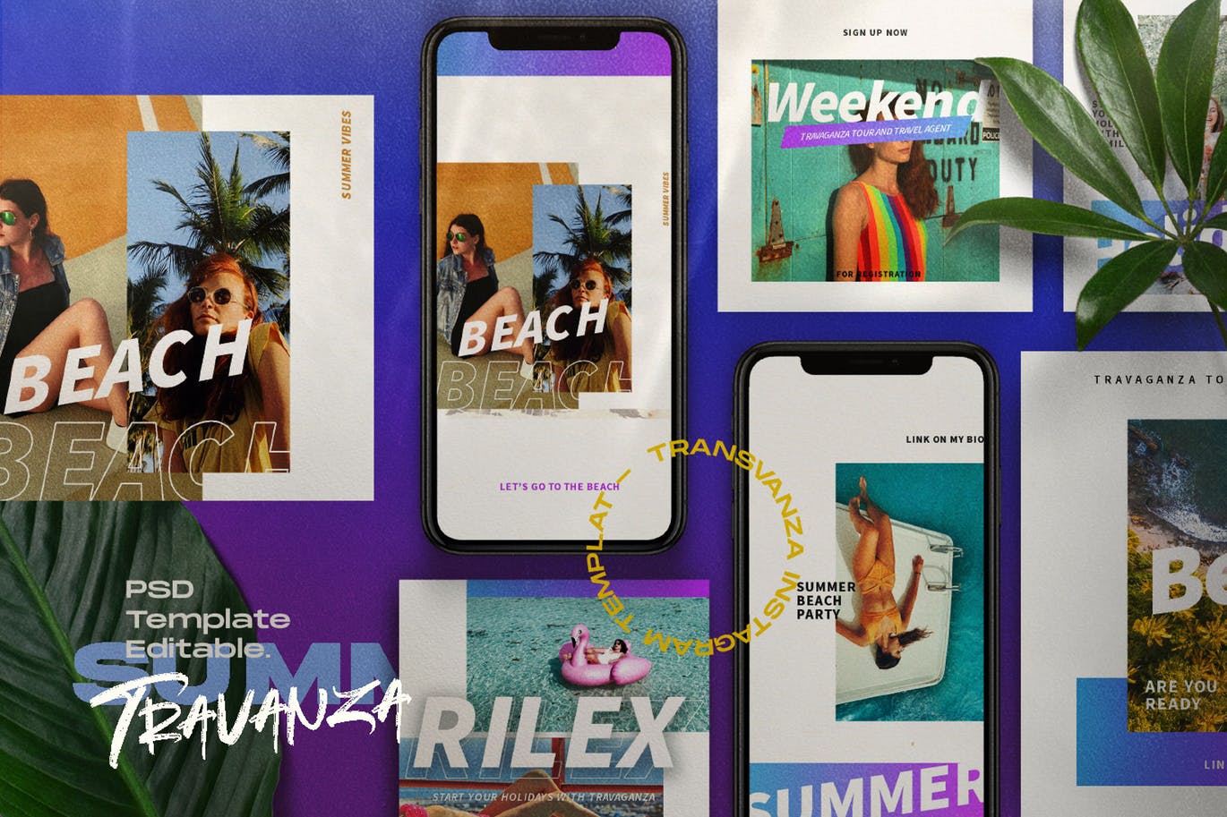 夏季主题社交媒体设计模板蚂蚁素材精选素材 TRANSVANZA – Summer Social Media Template+Stories插图(4)
