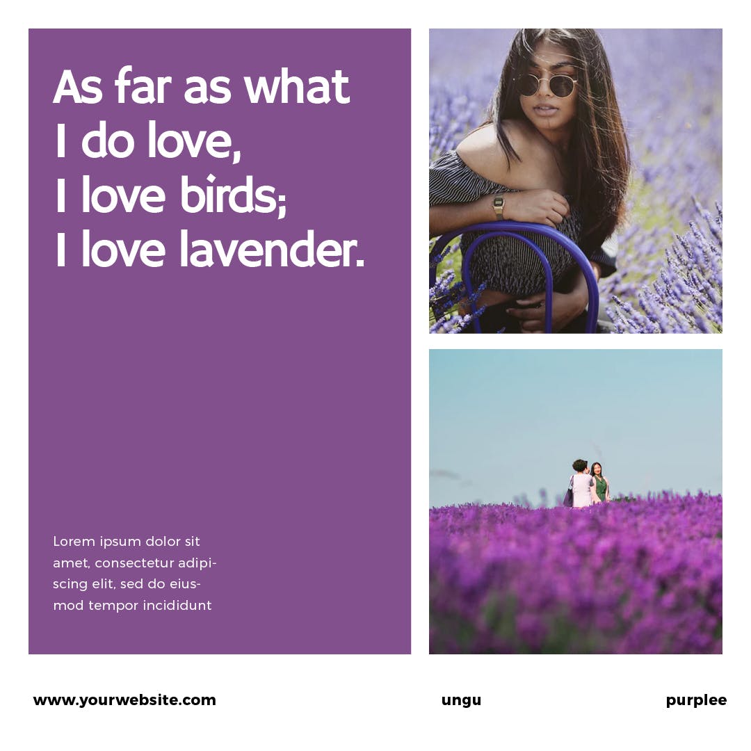 薰衣草配色社交媒体广告Banner图设计模板第一素材精选 Lavender Social Media Banners插图(8)